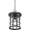 Quoizel Crusade Outdoor Hanging Lantern CSE1910EK - alternate 5